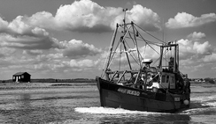 【注册机】可用的免费ddos攻击网页端