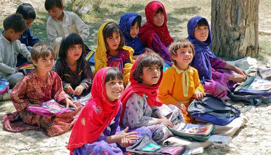 免费下载不要钱的网站ddos隐藏源ip